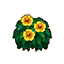 Yellow Hibiscus HHD Icon.png