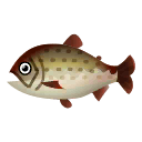 Stringfish