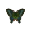 Peacock Butterfly HHD Icon.png