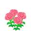 Pink Carnations NBA Badge.png