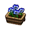 Blue Pansies HHD Icon.png