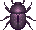 Dung Beetle WW Sprite.png
