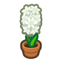 White-Hyacinth Plant NH Inv Icon.png