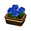 Blue Roses HHD Icon.png
