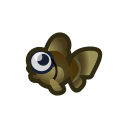 Pop-eyed goldfish