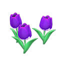 Purple-tulip plant