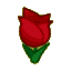 Red Tulips CF Icon.png
