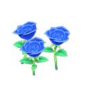 Blue-rose plant