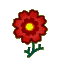 Red Cosmos CF Icon.png