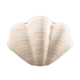 shell lamp