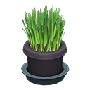 Cat Grass (Black) NH Icon.png