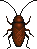 Artwork of cockroach