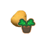 Seed potato
