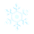 Snowflake NL Model.png