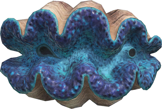 Gigas giant clam - Animal Crossing Wiki - Nookipedia Gigas giant clam - Animal Crossing Wiki - Nookipedia