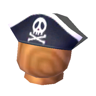 Pirate's hat