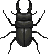 Artwork of Stag Beetle