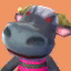 Rodeo's Pic NL Texture.png
