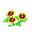 Yellow-Pansy Plant