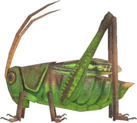 Grasshopper NH.png