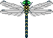 Banded Dragonfly WW Sprite.png