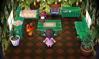 Interior of Drift's house in Animal Crossing: New Leaf
