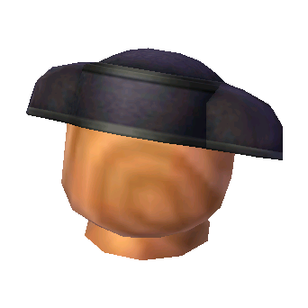 Matador's hat