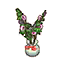 Hibiscus HHD Icon.png