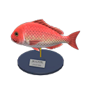 Red Snapper Model NH Icon.png