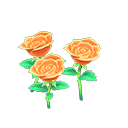 Orange-Rose Plant