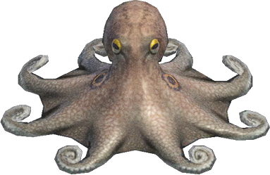 Artwork of octopus
