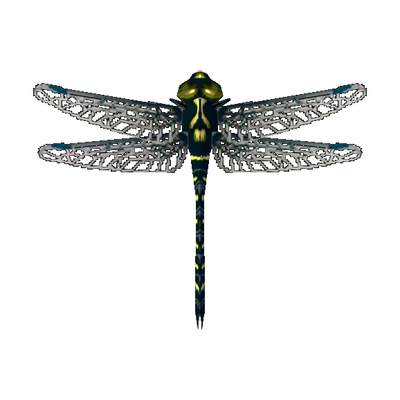 Petaltail dragonfly Animal Crossing Wiki Nookipedia