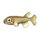 Nibble Fish NL Model.png