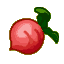 Red Turnip CF Icon 5.png