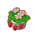 Potted R. Strawberries PC Icon.png