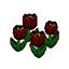 Black Tulips (Outside) HHD Icon.png