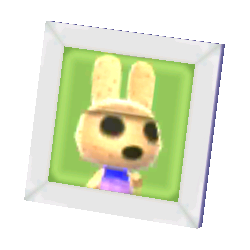 Coco's Pic NL Model.png