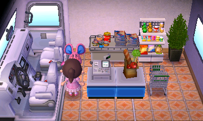 Interior of Candi's RV in Animal Crossing: New Leaf