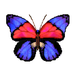 Agrias Butterfly NL Model.png