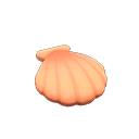 Manila clam