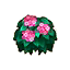 Pink Hydrangea HHD Icon.png
