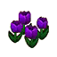 Purple Tulips (Outside) HHD Icon.png