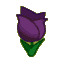 Black Tulips CF Icon.png