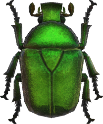 Artwork of drone beetle