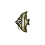 Angelfish HHD Icon.png