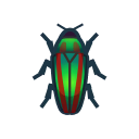 Jewel Beetle NH Icon.png