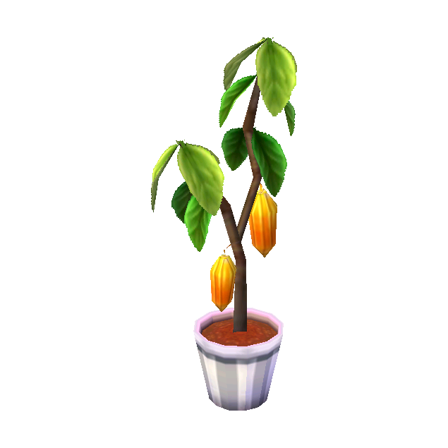 Cacao Tree NL Model.png