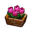 Pink Tulips HHD Icon.png