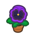 Purple-Pansy Plant NH Inv Icon.png