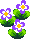 Purple Pansy PG.png
